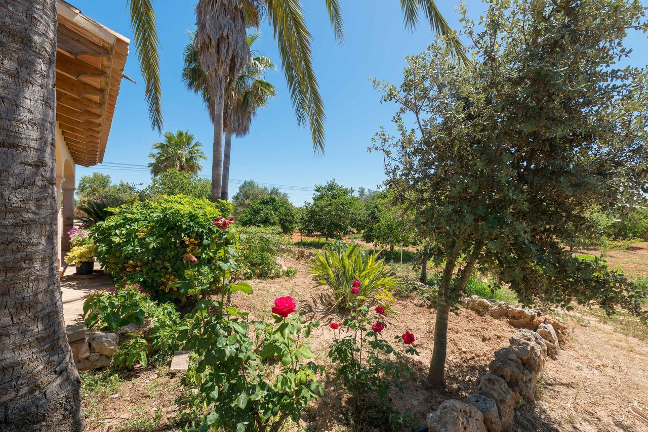 Clau De Sol Villa Can Picafort  Exterior photo